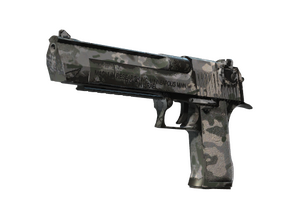 Desert Eagle | Городской щебень (После полевых испытаний)